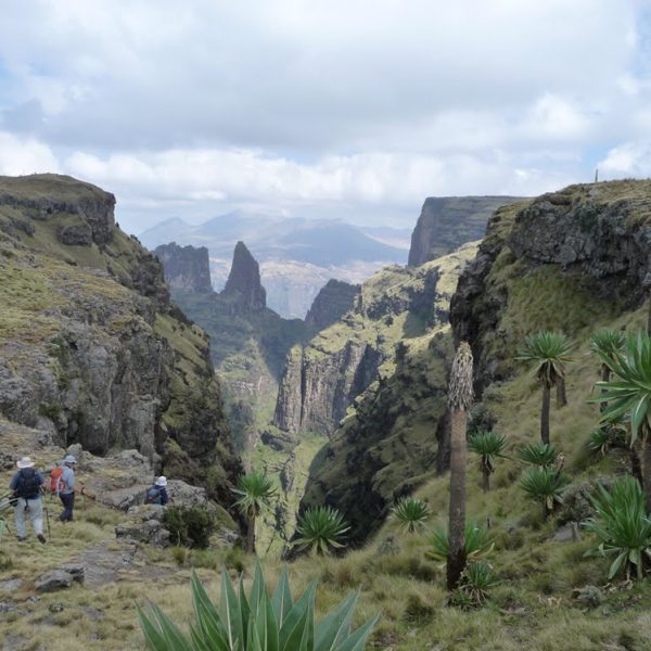 Ethiopia National Park Simien