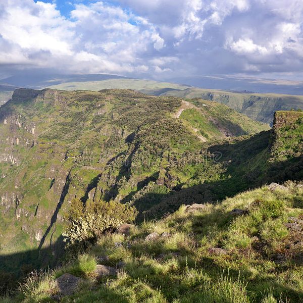 simien-mountains-ethiopia-near-sankaber-camp-national-park-74328819